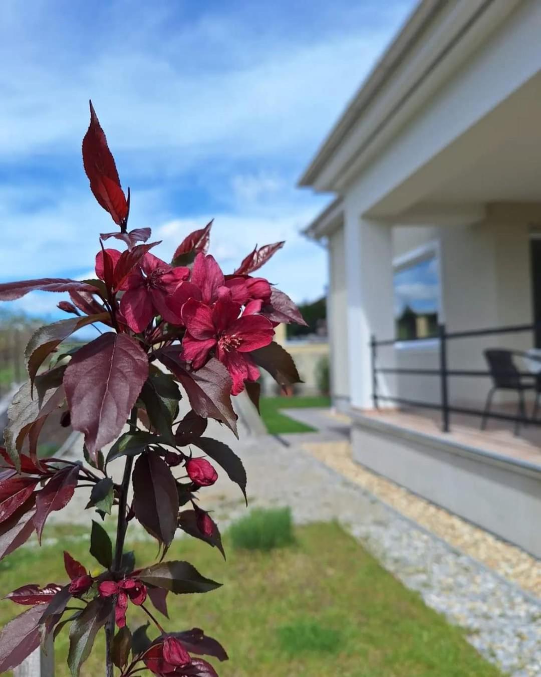 Ferienwohnung Zoeld Terasz Vendeghaz Egerszalók Exterior foto